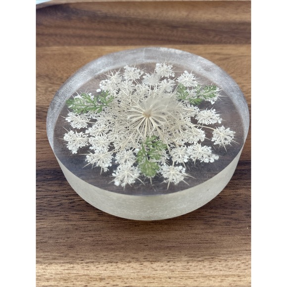Rare W. Rolfe Signed Lucite Vintage Paperweight‎ Flat Circular Cream Flower 4.5" - Picture 1 of 10